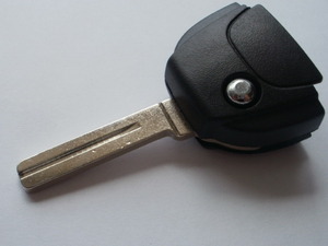dsp_p6100017.jpg