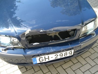volvo_2_resized.jpg