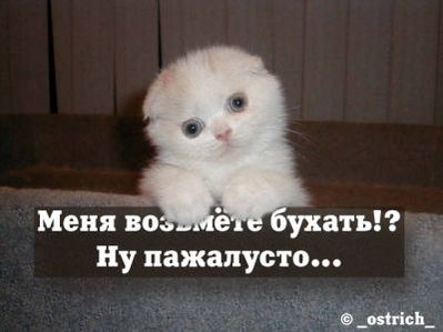 меня бухать.jpg