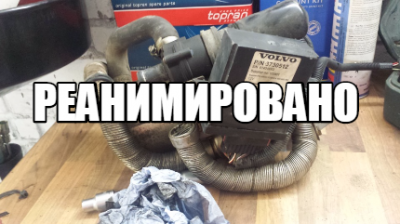 Без названия.png