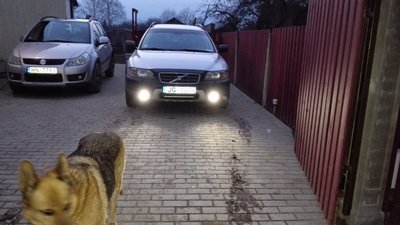 IMG_20170402_202415.jpg