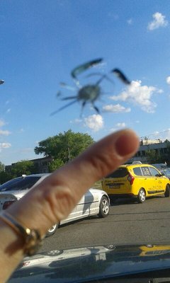 mms_20170608_193341.jpg