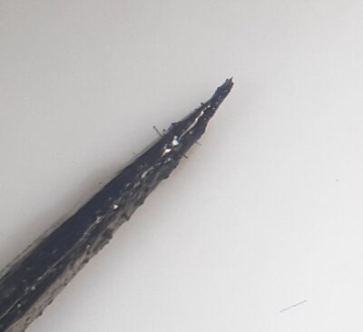 20210504_144549.jpg