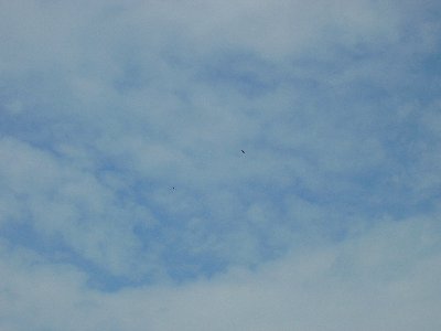 P1020026.JPG