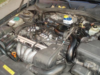 P9281772-2.JPG