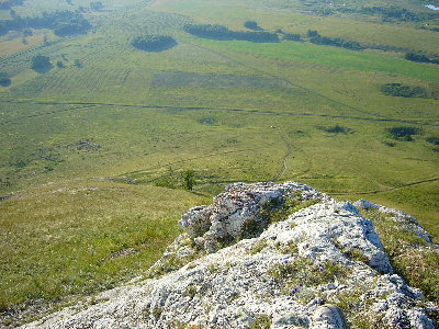 P1020066.JPG