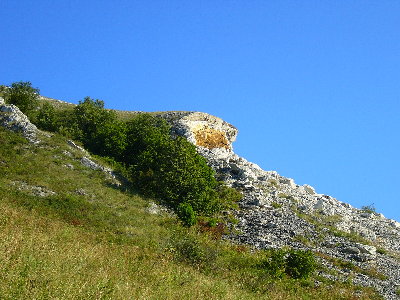 P1020062.JPG