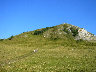 P1020056.JPG