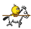 runing horse :rhorse: